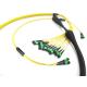 Fiber Optic MPO MTP Elite Trunk Cable SM 12 24 48 72 144 Core Patch Cord