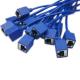 Blue Over-Molded Crimp Electronic Wiring Harness With Modular Plug For Network Signal Transmission