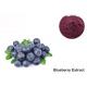 Organic Blueberry Extract Powder For Eyes