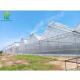 Multi Span Aluminum Tunnel Greenhouse for Flowers Vegetables Plant