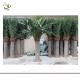 UVG PTR001 Small plastic coconut tree with artificial silk leaves for sale and decoration