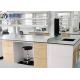 1.2mm Steel Chemistry Lab Bench Chemical Resistant With Cabinets Sink