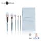 5pcs Mini Makeup Brush Gift Set Plastic Handle Cosmetic Case With Nylon Hair