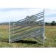 3.6 Metre Adjustable Cattle Loading Ramp With Dual Pin Locking System