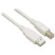 12 Mbps Transfer Rates Mini USB Transfer Cables Usb Extension Cable