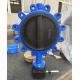 Water Media Sanitary Stainless Steel CF8 WCB Ductile Iron Tapped Fully Lug Butterfly Valve