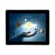 15Inch 10 Point Touch Screen Monitor , High Sensitivity PCAP Touchscreens