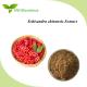 Natural Schisandra Chinensis Extract Powder 1% Schisandrin Halal Certified