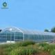 Galvanized Steel Hoop Style Greenhouse Single Span Tunnel Strawberry Greenhouse