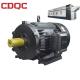 330/ 380V Variable Speed AC Motor Electric 0.37Kw-30Kw Output Power