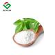 97% Water Soluble Stevia Leaf Extract Powder Natural Sweetener