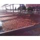 High Capacity Fresh Tomato Puree Processing Line 6.5 Tons/Hour
