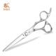Special Japanese Steel Scissors , Hair Stylist Scissors Sharpness Cutter Blade