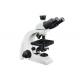 UB103i Professional Grade Trinocular Microscope For Primary Students