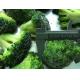Healthy IQF Frozen Vegetables , Organic Individual Quick Freezing Broccoli