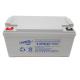 Liruisi 65Ah 12V Lead Acid Batteries VRLA 6-GFM-65 For Uninterruptible Power System