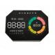 Custom Shape VA LCD Display Color Segmented LCD Display 4 Digit Zebra Screen