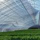 Aquaculture Made Easy with Seeding Breening Sunlight Greenhouse 30-Day Return Refunds