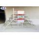 4 Tiers Hot Dipped Poultry Farm Cage Galvanized Technology OEM Service