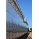 3-5 Years Lifespan Plastic Film Greenhouse With Anti Drip And Anti Fog Features