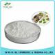 Factory Supply 98% Betulin Powder White Birch Bark Extract