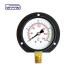 Black Steel Type Wall Mounted Pressure Gauge 100mm Dial 1 year Warranty