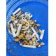 IQF Frozen Seafood Mix 500gr/bag With ISO Authentication