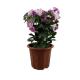 Factory Outlet Outdoor New Light and Durable Plastic Flower Pots