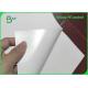 Glossy Single Side PE Film Coated Paper 280g + 15g PE For Paper Cups