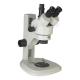 WF20X Eyepiece Stereo Zoom Microscope Trinocular Vertical With  Digital Camera