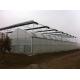 High Output Hydroponic Lettuce Greenhouse Wind Load 100KM/H With Multi Layer Rack