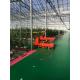 Steel Structure Humidity-Controlled Growing System Juxiang's Cutting-Edge Technology