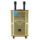 12 Inch Portable Trolley Speaker With Microphone Big Power Bluetooth 5.0