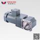 90 Code Micro Variable Speed Motor Single Phase 220V 120W