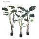Small Size Artificial Decorative Trees Split Philodendron Monstera Tree In Green Color
