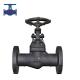 Cast Steel Stainless Steel Forged Steel Globe Valve For Thermic Oil