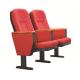 Soft Cushion Electrostatic Spray Steel Folding Auditorium Chairs
