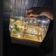 Flower cake box, transparent pvc folding fruit flower box, Valentine's Day hand-held flower arrangement box, and popular flower gift box