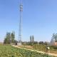 30m Wireless Communication Tower Galvanized Steel Painting Telecommunication
