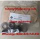 Germany Origin Gcr15 Steel Material INA LFE12x45-A1 Journal Eccentric Bolt For Track Roller Bearing LFR