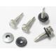 Painted High Strength Ss Self Threading Bolts For Metal With Rubber Washer HDG Mechanical