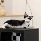 CARB Wood Pet Furniture Luxury Modern Cat Bed Furniture Cushioned