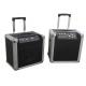 Professional Mp3 Player Bluetooth Trolley Speaker Portable With SD Card Reader