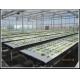 PE Plastic Film Hydroponic Multi Span Greenhouse For Vegetable Growing