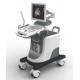 Full Digital Trolley 4D Echo Ultrasound Machine With LED Screen