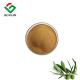 Pure Olive Leaf Extract Powder Supplement 20% Oleuropein