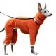 Double Sided Velvet Warm Dog Coats Dog Fleece Jumpsuit High Collar