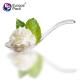 Factory direct new products disposable ps crystal spoon for food