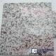 G655 China White Granite Tile