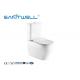 High Effeciency Water Saving Toilets White Ceramic Floor Standing Two Piece Structure